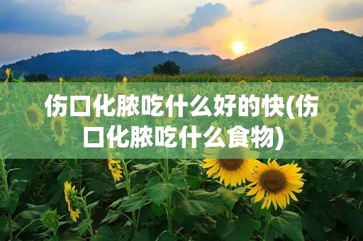 伤口化脓吃什么好的快(伤口化脓吃什么食物)