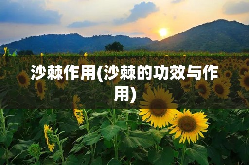 沙棘作用(沙棘的功效与作用)