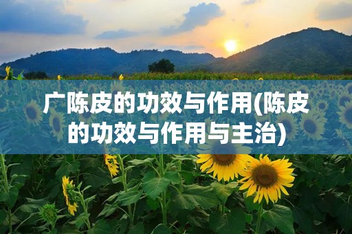 广陈皮的功效与作用(陈皮的功效与作用与主治)