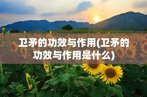 卫矛的功效与作用(卫矛的功效与作用是什么)