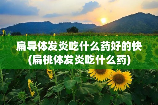 扁导体发炎吃什么药好的快(扁桃体发炎吃什么药)