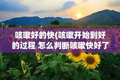 咳嗽好的快(咳嗽开始到好的过程 怎么判断咳嗽快好了)