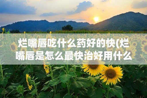 烂嘴唇吃什么药好的快(烂嘴唇是怎么最快治好用什么药呢?)