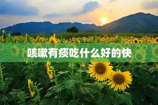 咳嗽有痰吃什么好的快