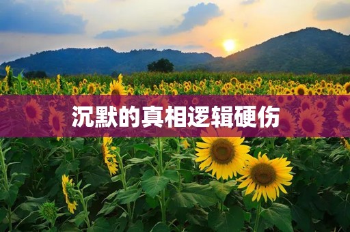 沉默的真相逻辑硬伤