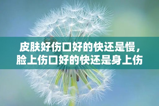 皮肤好伤口好的快还是慢，脸上伤口好的快还是身上伤口好得快