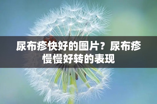 尿布疹快好的图片？尿布疹慢慢好转的表现