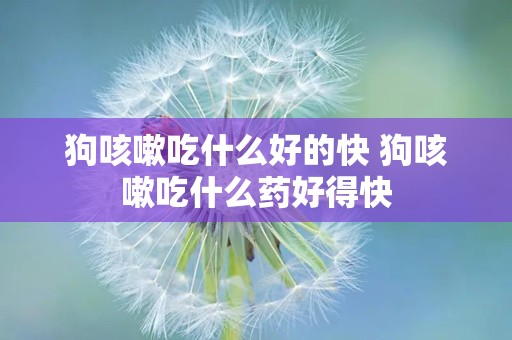 狗咳嗽吃什么好的快 狗咳嗽吃什么药好得快