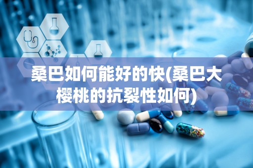 桑巴如何能好的快(桑巴大樱桃的抗裂性如何)