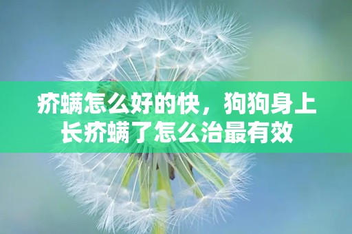 疥螨怎么好的快，狗狗身上长疥螨了怎么治最有效