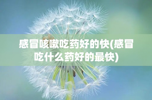 感冒咳嗽吃药好的快(感冒吃什么药好的最快)