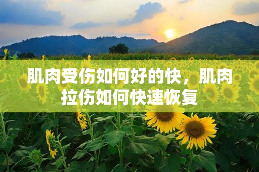 肌肉受伤如何好的快，肌肉拉伤如何快速恢复