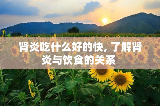 肾炎吃什么好的快, 了解肾炎与饮食的关系 