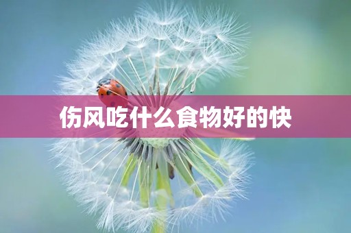 伤风吃什么食物好的快