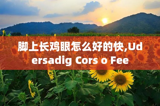 脚上长鸡眼怎么好的快,Udersadig Cors o Fee