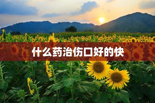 什么药治伤口好的快
