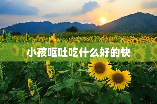 小孩呕吐吃什么好的快