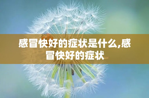 感冒快好的症状是什么,感冒快好的症状