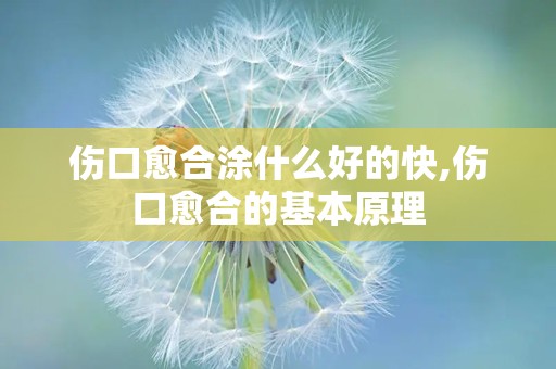 伤口愈合涂什么好的快,伤口愈合的基本原理