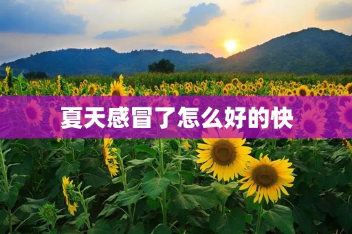 夏天感冒了怎么好的快