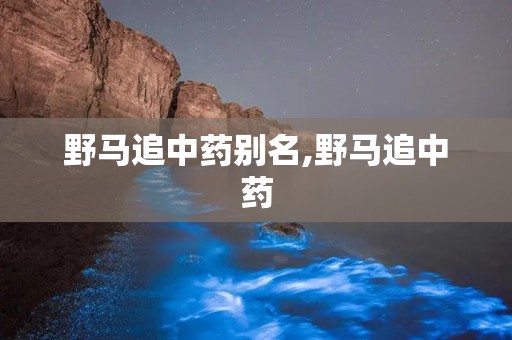 野马追中药别名,野马追中药