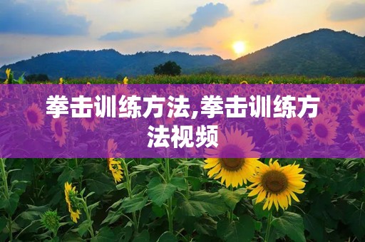 拳击训练方法,拳击训练方法视频