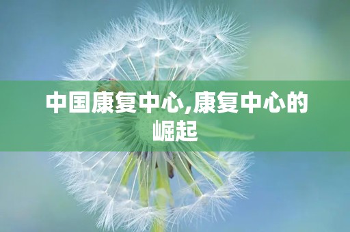 中国康复中心,康复中心的崛起