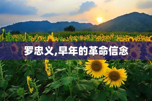 罗忠义,早年的革命信念