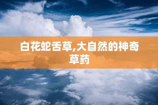 白花蛇舌草,大自然的神奇草药