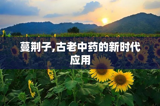 蔓荆子,古老中药的新时代应用