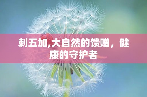 刺五加,大自然的馈赠，健康的守护者