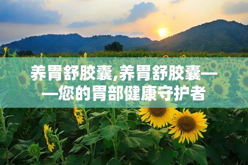 养胃舒胶囊,养胃舒胶囊——您的胃部健康守护者