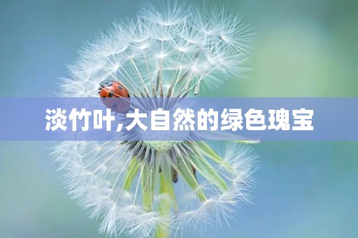 淡竹叶,大自然的绿色瑰宝