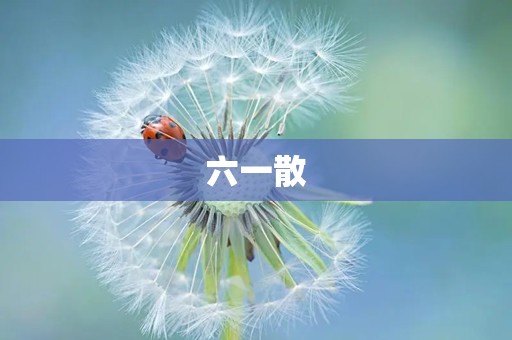 六一散