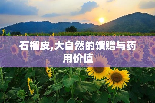 石榴皮,大自然的馈赠与药用价值
