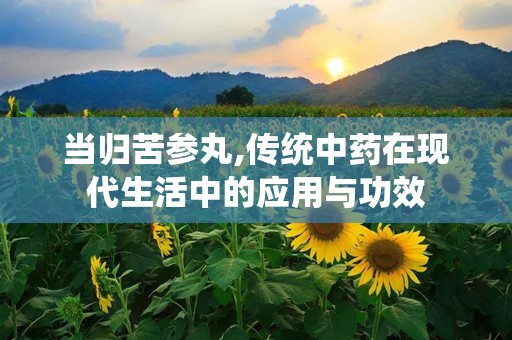 当归苦参丸,传统中药在现代生活中的应用与功效