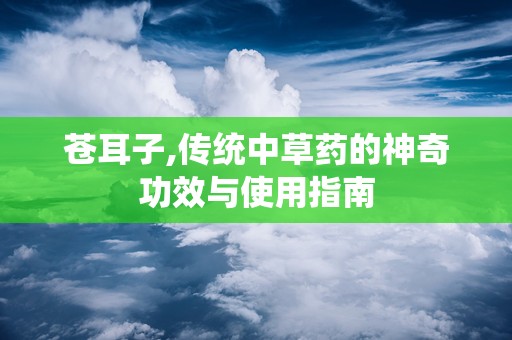 苍耳子,传统中草药的神奇功效与使用指南