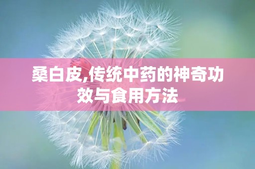 桑白皮,传统中药的神奇功效与食用方法