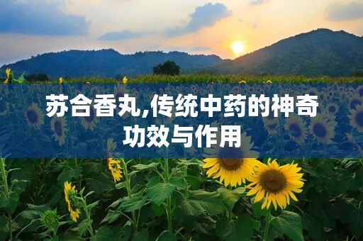 苏合香丸,传统中药的神奇功效与作用