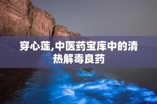 穿心莲,中医药宝库中的清热解毒良药