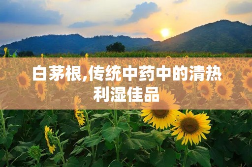 白茅根,传统中药中的清热利湿佳品