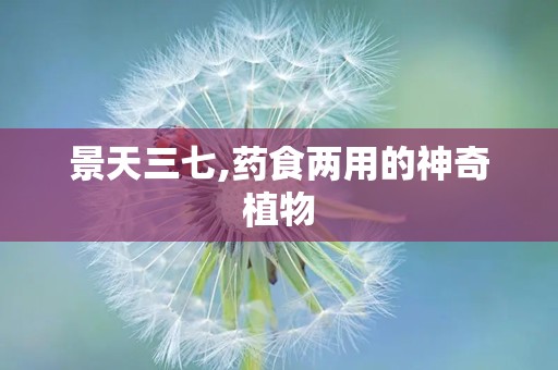 景天三七,药食两用的神奇植物