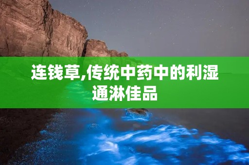 连钱草,传统中药中的利湿通淋佳品