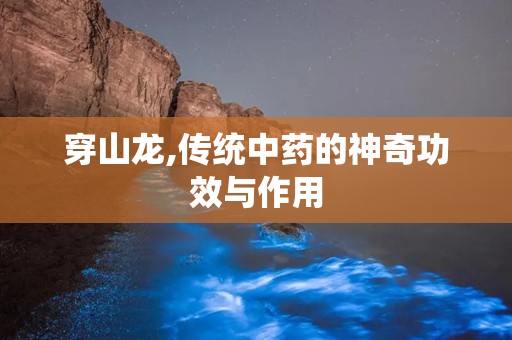 穿山龙,传统中药的神奇功效与作用