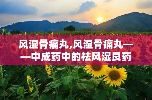 风湿骨痛丸,风湿骨痛丸——中成药中的祛风湿良药