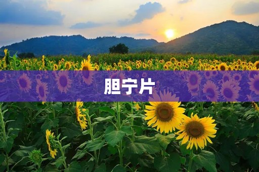 胆宁片