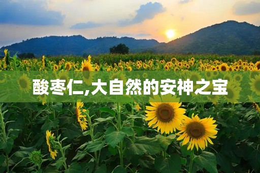 酸枣仁,大自然的安神之宝