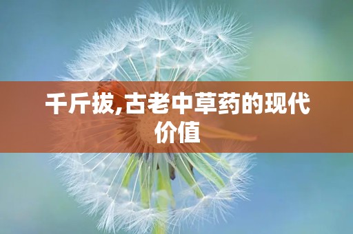 千斤拔,古老中草药的现代价值