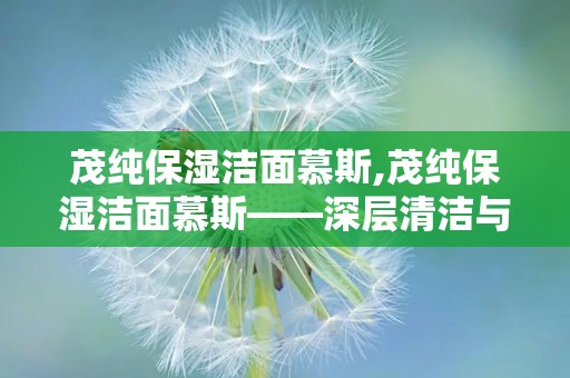 茂纯保湿洁面慕斯,茂纯保湿洁面慕斯——深层清洁与长效保湿的完美结合