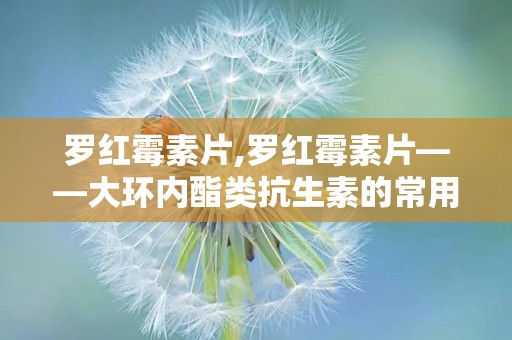 罗红霉素片,罗红霉素片——大环内酯类抗生素的常用药物